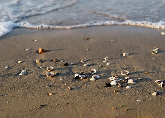 Apartment Flat With A Spacious Sunny Terrace - Beahost Bibione